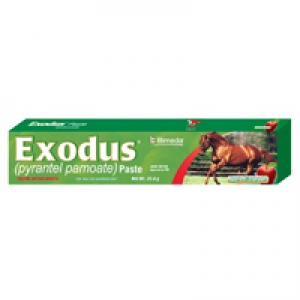 Exodus Pasta